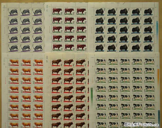 T.63“畜牧业---牛”版票 - 其它 - 古玩收藏 - 桂林分类信息 - 桂林28生活网 www.28life.com