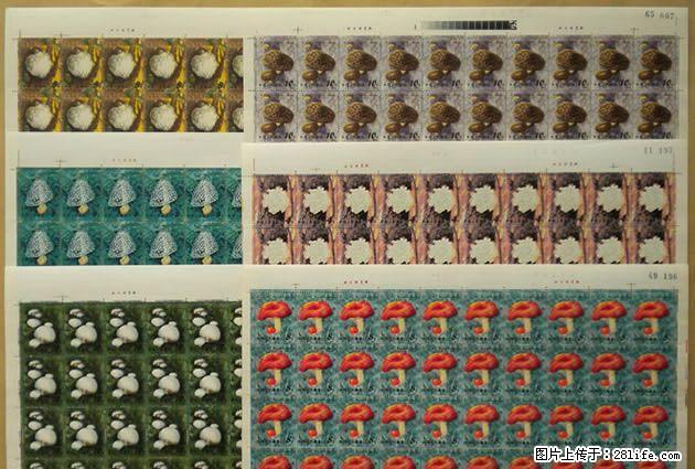 T.66”食用菌”版票 - 其它 - 古玩收藏 - 桂林分类信息 - 桂林28生活网 www.28life.com