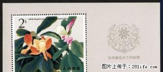 T.111M “珍稀濒危木兰科植物”小型张 - 桂林28生活网 www.28life.com