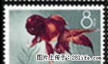 特38“金鱼”信销票第九枚（全品像） - 桂林28生活网 www.28life.com