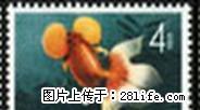 特.38“金鱼”信销邮票第三枚 - 桂林28生活网 www.28life.com