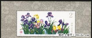 T.72M “药用植物”第二组小型张 - 桂林28生活网 www.28life.com