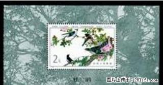 T.79M “益鸟”小型张 - 桂林28生活网 www.28life.com