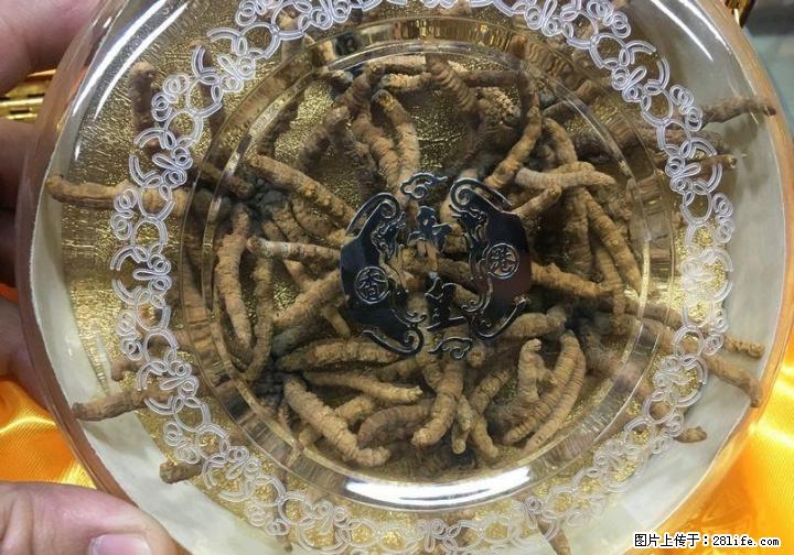 桂林地区现金高价回收礼品、白酒老酒洋酒、片仔癀颗粒,冬虫夏草等礼品~！ - 礼品刀具 - 特色礼品 - 桂林分类信息 - 桂林28生活网 www.28life.com