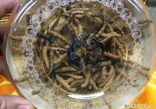 桂林地区现金高价回收礼品、白酒老酒洋酒、片仔癀颗粒,冬虫夏草等礼品~！ - 桂林28生活网 www.28life.com