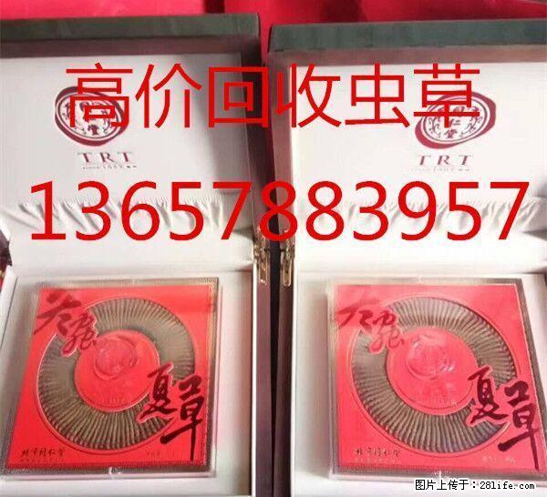 桂林礼盒海参回收，礼盒燕窝回收，礼盒冬虫夏草回收，礼品收购 - 礼品刀具 - 特色礼品 - 桂林分类信息 - 桂林28生活网 www.28life.com