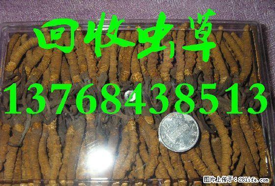 桂林市恭城县回收烟酒、龙胜县烟酒回收、阳朔县回收烟酒礼品 - 礼品刀具 - 特色礼品 - 桂林分类信息 - 桂林28生活网 www.28life.com