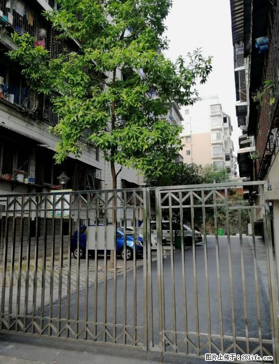 桂林育才小学分校学区 黄金二楼 鸾东菜市对面 - 房屋出售 - 房屋租售 - 桂林分类信息 - 桂林28生活网 www.28life.com