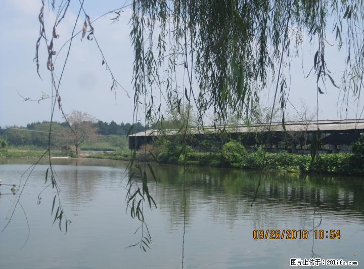 雁山养殖场招聘养鱼工 - 牲畜 - 农林牧渔 - 桂林分类信息 - 桂林28生活网 www.28life.com