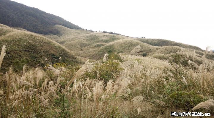 求租两三百亩左右山岭地 - 农作物 - 农林牧渔 - 桂林分类信息 - 桂林28生活网 www.28life.com