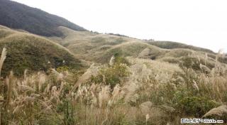 求租两三百亩左右山岭地 - 桂林28生活网 www.28life.com