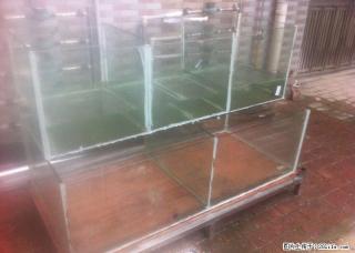 鱼缸低价转让，在哪里都找不到这么低价的了 - 桂林28生活网 www.28life.com