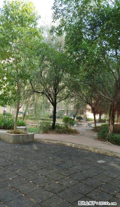 LL水榭花都3房2卫120平售23万 - 房屋出售 - 房屋租售 - 桂林分类信息 - 桂林28生活网 www.28life.com