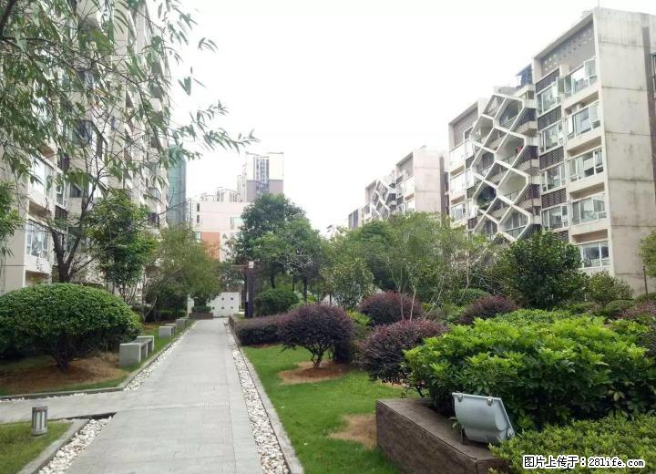 LL 山水凤凰城复式带花园40平178平售55万 - 房屋出售 - 房屋租售 - 桂林分类信息 - 桂林28生活网 www.28life.com