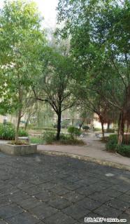 LL水榭花都3房2卫120平售23万 - 桂林28生活网 www.28life.com