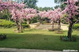 LL漓江大美一手代理=免中介费=找我有团购价 - 桂林28生活网 www.28life.com