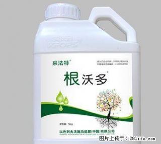 生根剂-采法特快速生根剂根沃多以色列真正进口肥 - 桂林28生活网 www.28life.com