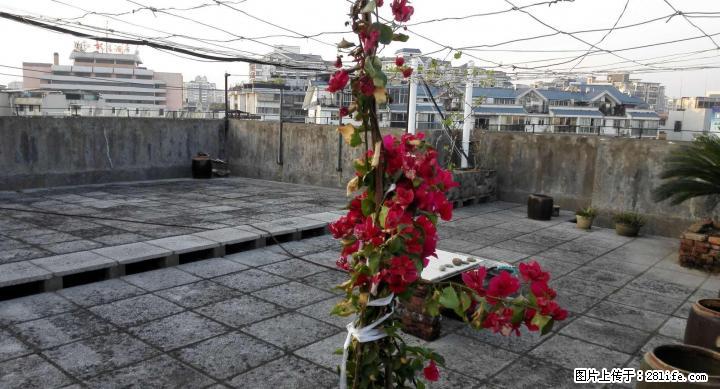 三里店商圈 龙隐学区房 - 房屋出售 - 房屋租售 - 桂林分类信息 - 桂林28生活网 www.28life.com