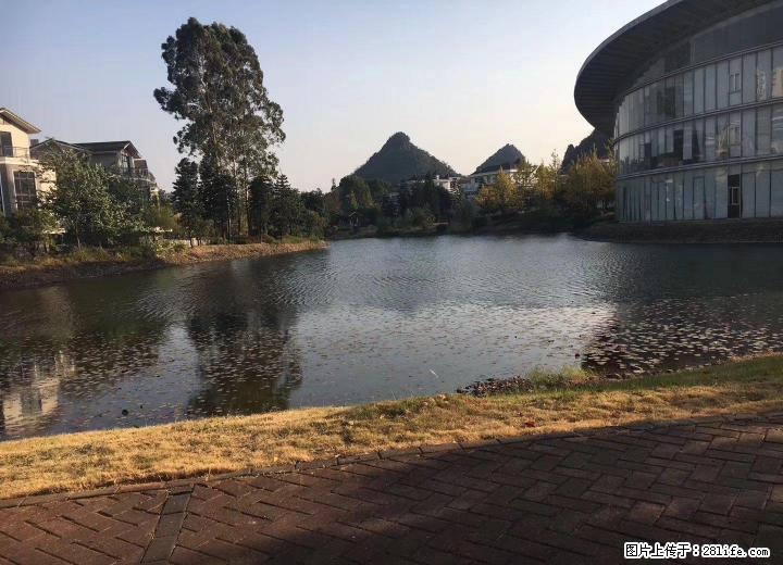 Y临桂超奢华独栋大别墅麒麟湾 全新豪华装修+大花园   350万   298平 - 房屋出售 - 房屋租售 - 桂林分类信息 - 桂林28生活网 www.28life.com