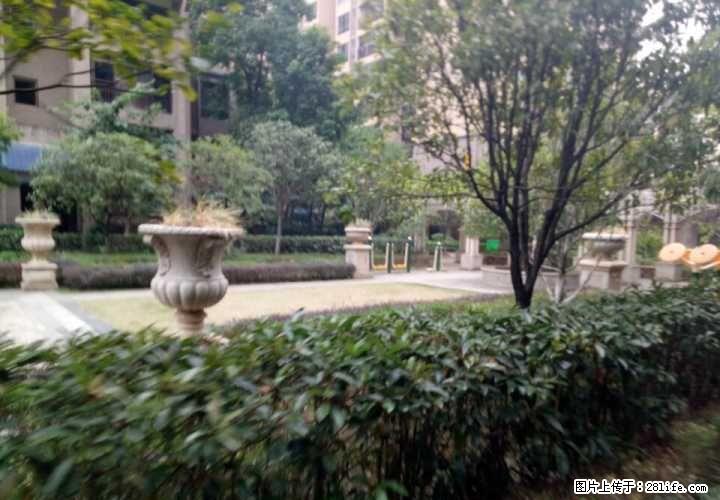 Y桂林郡实用经济房!大阳台+电梯 卖一套少一套!绝对的划算!3房2厅2卫 92平 68 - 房屋出售 - 房屋租售 - 桂林分类信息 - 桂林28生活网 www.28life.com