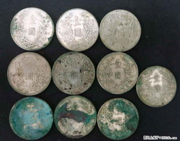 桂林收购银圆（袁大头/光洋） - 其它 - 古玩收藏 - 桂林分类信息 - 桂林28生活网 www.28life.com