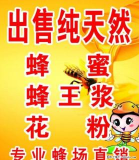 阳朔绿色生态原装蜂蜜 - 桂林28生活网 www.28life.com