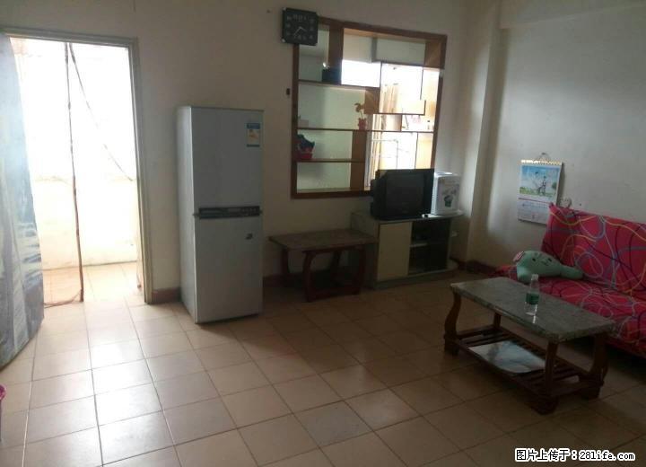 十字街依人路正阳步行街一房一厅出租 - 房屋出租 - 房屋租售 - 桂林分类信息 - 桂林28生活网 www.28life.com