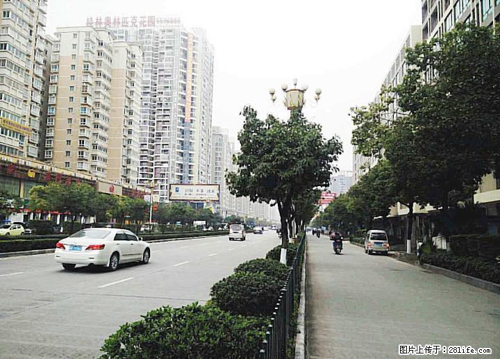 临桂世纪大道当街整栋带门面综合写字楼洪荒出售 - 房屋出售 - 房屋租售 - 桂林分类信息 - 桂林28生活网 www.28life.com