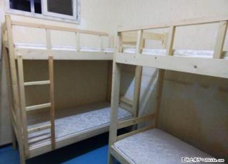 全新松木架子床8套  规格80190  配棕垫  买回来未用  现亏本处理 - 桂林28生活网 www.28life.com