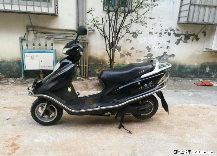 小飞哥60伏公主电动车一部诚转 - 电动车 - 摩电单车 - 桂林分类信息 - 桂林28生活网 www.28life.com
