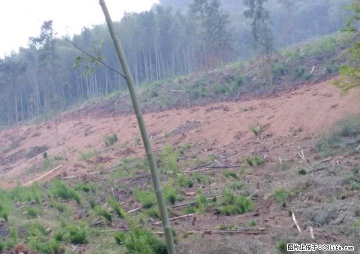 多块岭地，农业地出租 - 其它 - 房屋租售 - 桂林分类信息 - 桂林28生活网 www.28life.com