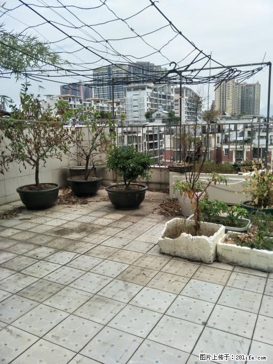 八里街金色嘉苑复式楼3房2厅大露台出租 - 房屋出租 - 房屋租售 - 桂林分类信息 - 桂林28生活网 www.28life.com