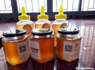 纯蜂蜜，农家蜂蜜.冬蜜。百分百无添加！ - 桂林28生活网 www.28life.com