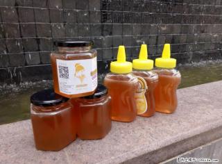 桂林全州农家蜂蜜批发 - 桂林28生活网 www.28life.com