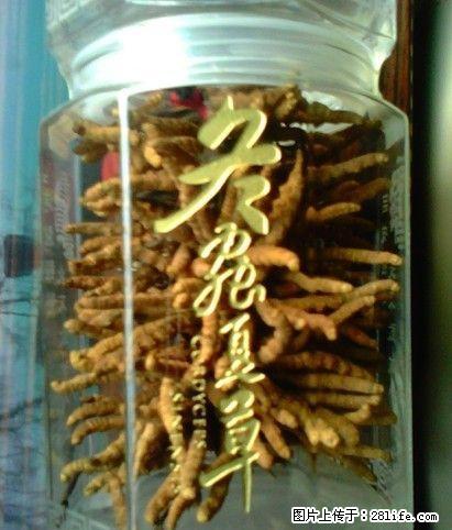 回收冬虫夏草13811148711高价收海参燕窝鹿茸东阿阿胶 - 礼品刀具 - 特色礼品 - 桂林分类信息 - 桂林28生活网 www.28life.com