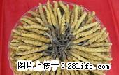 桂林回收冬虫夏草 5X极草含片 淡干海参 - 礼品刀具 - 特色礼品 - 桂林分类信息 - 桂林28生活网 www.28life.com