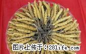桂林回收冬虫夏草 5X极草含片 淡干海参 - 桂林28生活网 www.28life.com