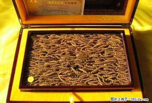 北京收冬虫夏草13811220624回收礼品海参燕窝鹿茸 - 礼品刀具 - 特色礼品 - 桂林分类信息 - 桂林28生活网 www.28life.com