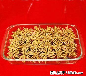 高价回收冬虫夏草13811220624收购礼品海参鹿茸 - 礼品刀具 - 特色礼品 - 桂林分类信息 - 桂林28生活网 www.28life.com