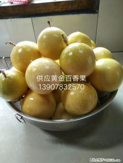 供应味道十分香甜的黄金百香果 - 桂林28生活网 www.28life.com