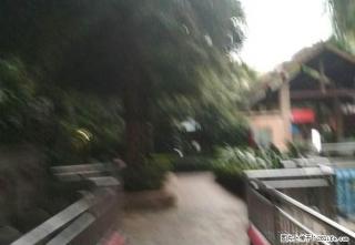 象山区 上海路 兴进中央尊馆 4房 家电家具齐 - 桂林28生活网 www.28life.com