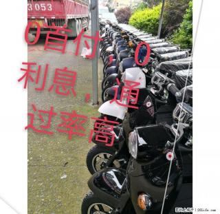 本店油车,电动车都是批发价,欢迎来电咨询 - 桂林28生活网 www.28life.com