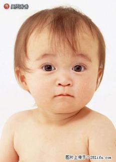 出租瓦窑八中路口门面（不收转让费） - 桂林28生活网 www.28life.com