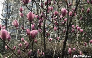 ！龙隐学区 东岸枫景 超值两房 精装修 - 桂林28生活网 www.28life.com