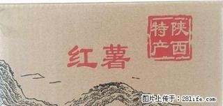 陕西秦薯 现挖 新鲜地瓜 5斤装 25元包邮 - 桂林28生活网 www.28life.com
