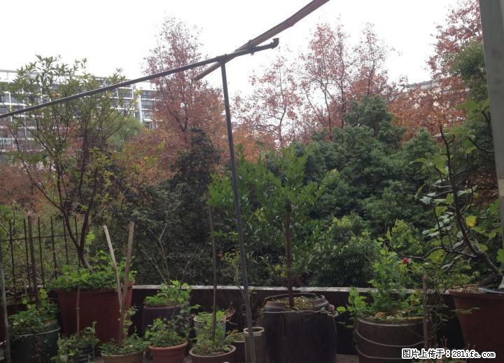 %龙隐学区 七星小区 楼梯三楼 精装2房+平台62万！ - 房屋出售 - 房屋租售 - 桂林分类信息 - 桂林28生活网 www.28life.com