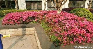 %别错过！七星区 万达华府公寓 精装2房仅62万，投资好房！！！ - 桂林28生活网 www.28life.com