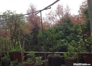 %龙隐学区 七星小区 楼梯三楼 精装2房+平台62万！ - 桂林28生活网 www.28life.com