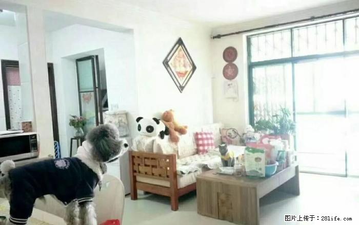 @叠彩区 北极广场 圣隆天龙居 2楼2房2厅1卫 精装 稀缺户型 仅售42万求秒!@ - 房屋出售 - 房屋租售 - 桂林分类信息 - 桂林28生活网 www.28life.com