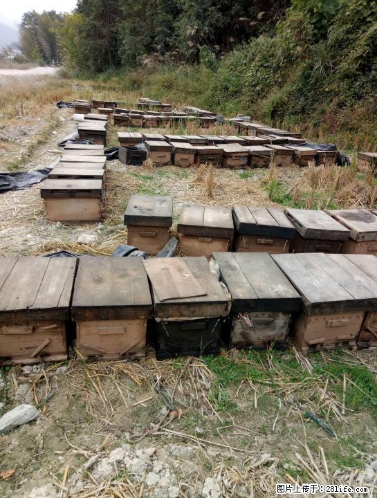 九龙滕，五倍子蜂蜜批发 - 礼品刀具 - 特色礼品 - 桂林分类信息 - 桂林28生活网 www.28life.com